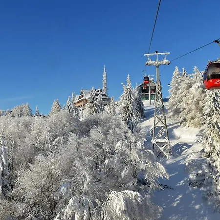 Jaworzyna Krynicka 克雷尼察