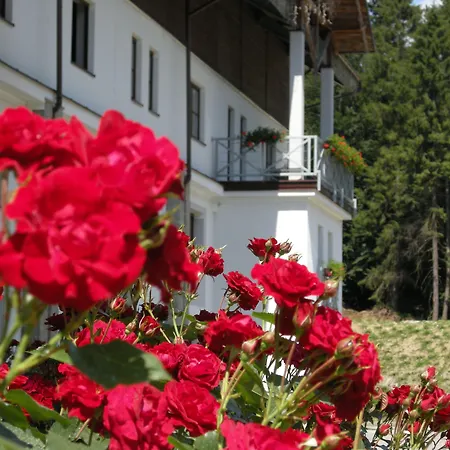 Otel Jaworzyna Krynicka