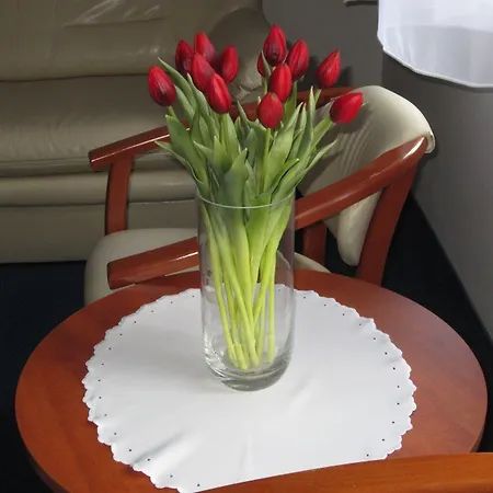 Jaworzyna Krynicka 3*