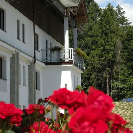 Jaworzyna Krynicka 酒店 3*