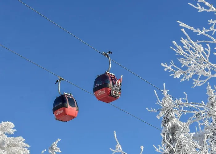 Hotel Jaworzyna Krynicka 3*