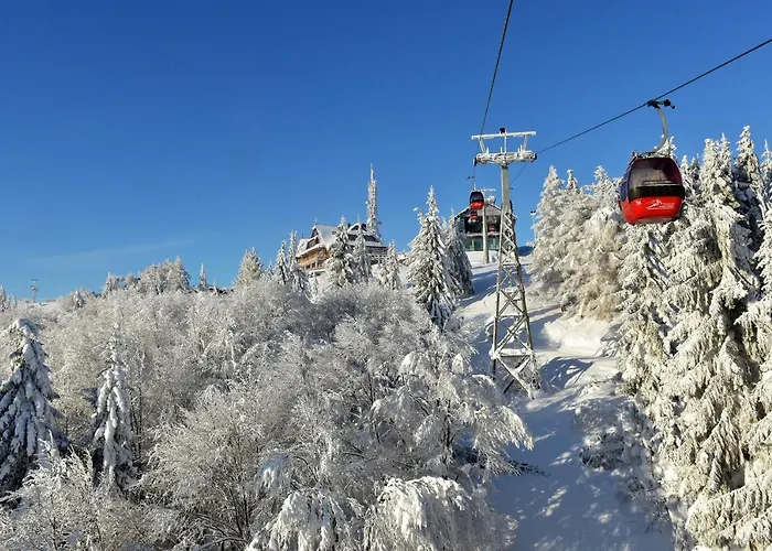 Jaworzyna Krynicka Krynica-Zdrój