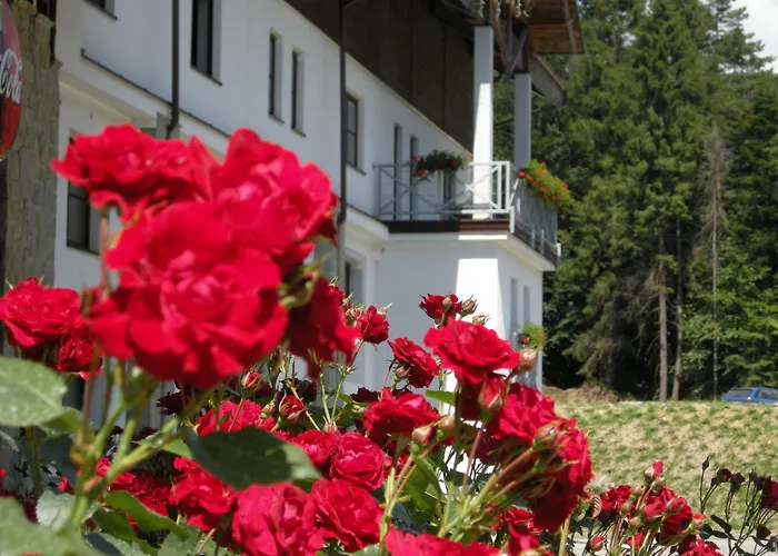 Hotel Jaworzyna Krynicka